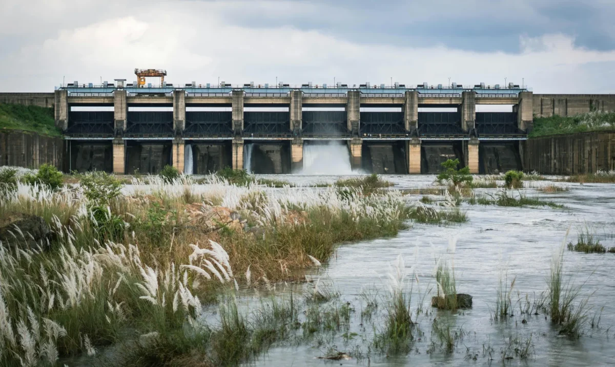 Lorem adipiscing ipsum dolor sit amet, consec tetur adipiscing elit