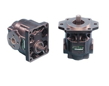 Ronzio Group 3 - W3 Series Hydraulic Gear Motor